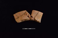 藏品(陶罐)的圖片